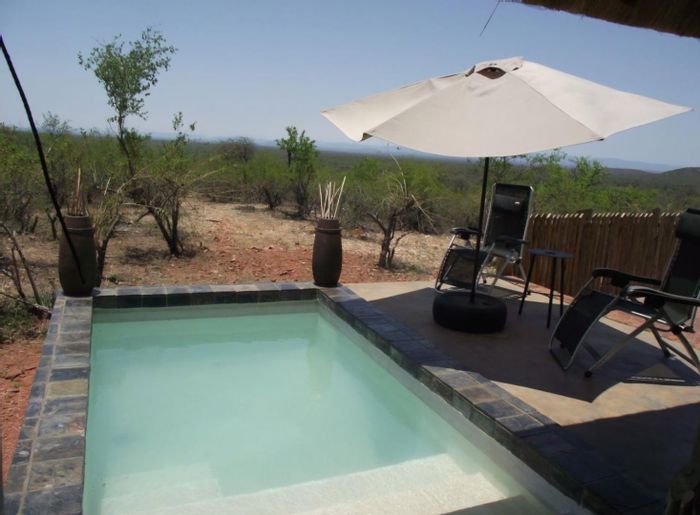 For Sale: 900-hectare farm in Musina Central with extensive wildlife and facilities.