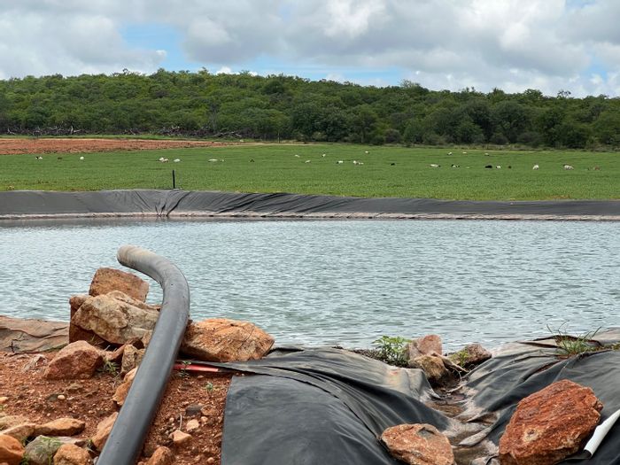 For Sale: 533ha farm in Musina Rural with irrigation, livestock, and infrastructure.