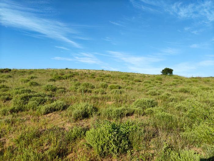 Seaton Estate For Sale: Vacant Residential Land with beach access and equestrian facilities.