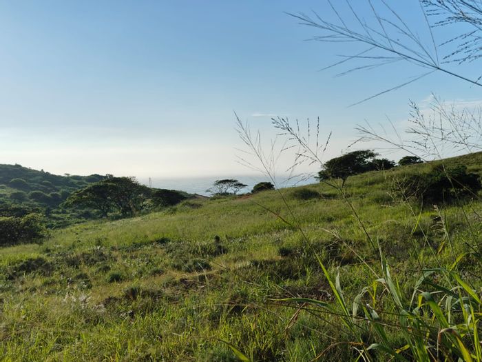 Seaton Estate For Sale: Vacant Land Residential with private beach, equestrian facilities, security.