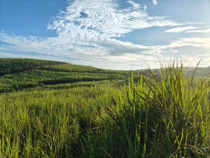 Seaton Estate For Sale: Vacant Residential Land with beach access and equestrian facilities.