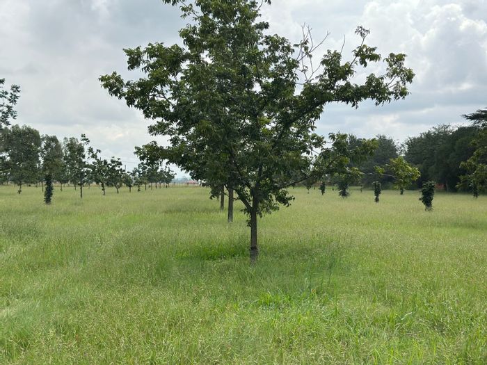 Unitas Park Small Holding For Sale: 6 Bedrooms, Pecan Farm, Pool, Entertainment Areas.