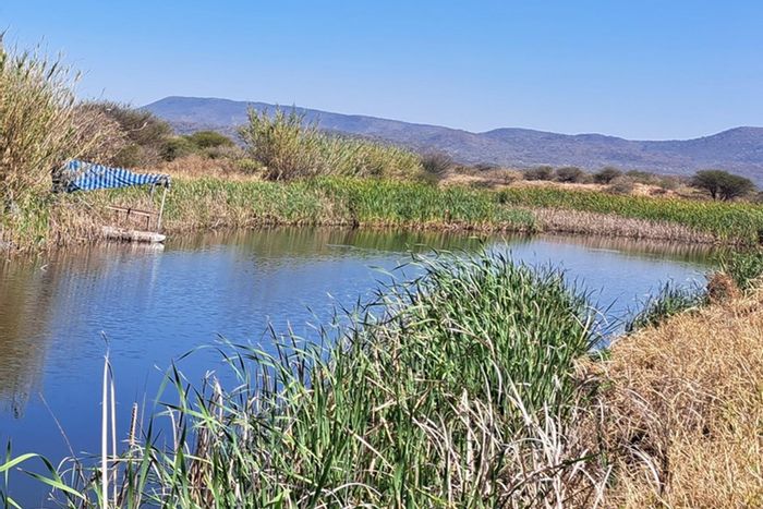 For Sale: 60-hectare farm in Mookgopong Central with extensive irrigation and amenities.