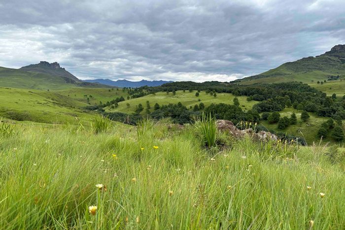Vacant Land Residential for Sale in Underberg Central: 30 serviced stands, secure estate.