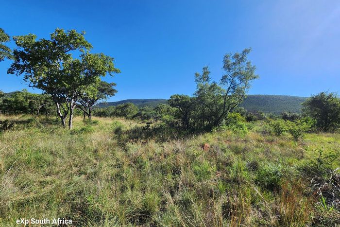 Zwartkloof Private Game Reserve: For Sale, Vacant Land with views, amenities, and wildlife access.