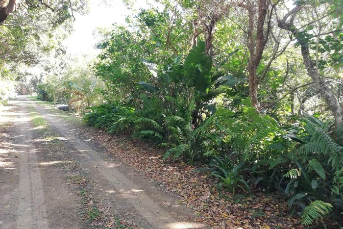 Vacant Land Residential For Sale in Palm Beach with stream, near beach and nature reserve.