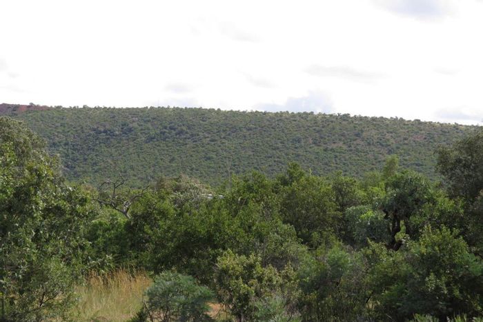 Zwartkloof Private Game Reserve: Vacant Land For Sale with scenic views and amenities.