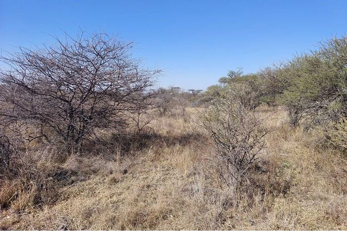Vacant Land Residential for Sale in Ditholo Wildlife Estate with game lodge access.