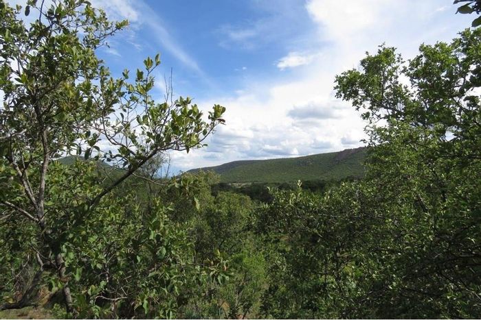 Vacant Land Residential for Sale in Bela Bela Rural with scenic views and amenities.