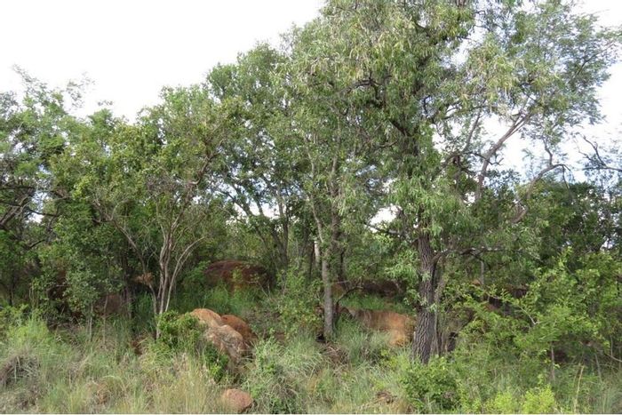 Vacant Land Residential For Sale in Bela Bela Rural with scenic views and amenities.