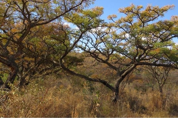 Zwartkloof Private Game Reserve: For Sale, Vacant Land with mountain views and amenities.