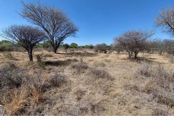 Vacant Land for Sale in Ditholo Wildlife Estate: 1.3 ha, wildlife access.