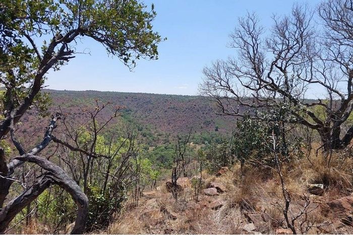 Vacant land for sale in Marulani Private Nature Reserve with wildlife and amenities.
