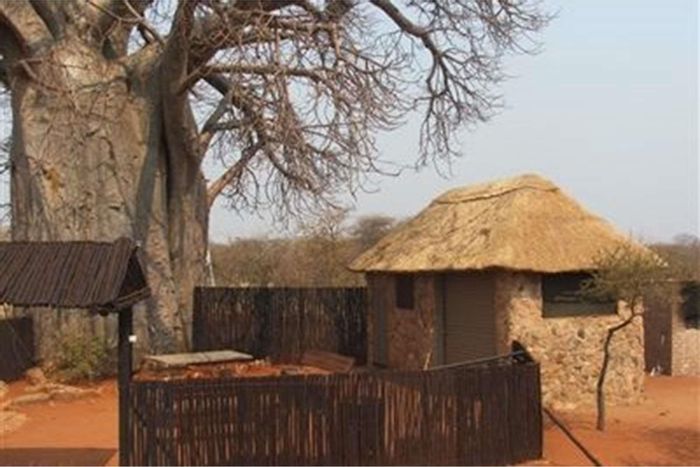 For Sale: Game farm in Musina Rural with lodge, flat, and extensive wildlife.