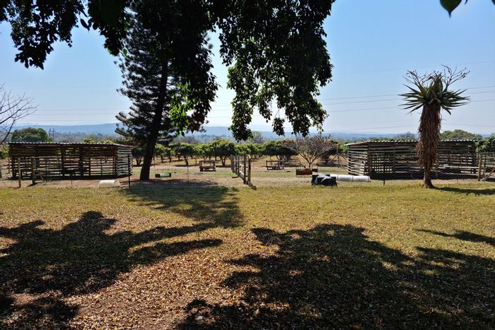 California AH Farm For Sale: 11.45 hectares, greenhouses, chicken coops, livestock facilities.