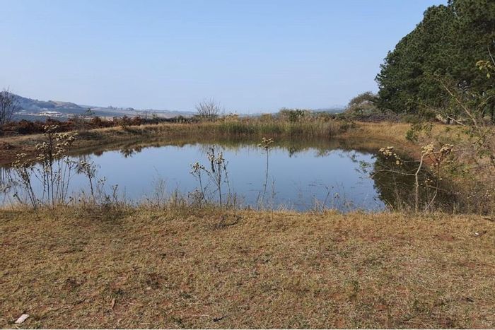 For Sale: Rocky Drift Farm with 2190 Macadamia trees, water rights, and housing.