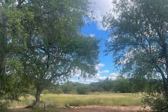 Farm for Sale in Vaalwater Central: Game reserve access, butchery, chalets, and water resources.