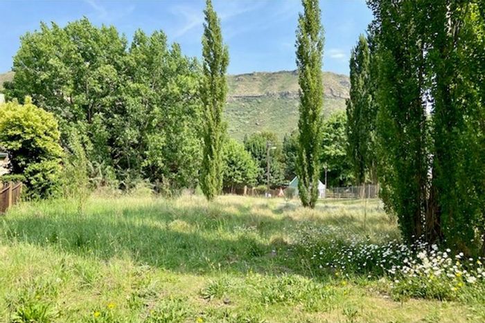 Vacant Land Residential for Sale in Clarens Central, near shops and nature.