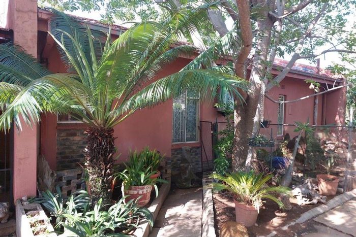 Rooiberg House For Sale: Spacious 4 bedrooms, outdoor lapa, and secure garden.