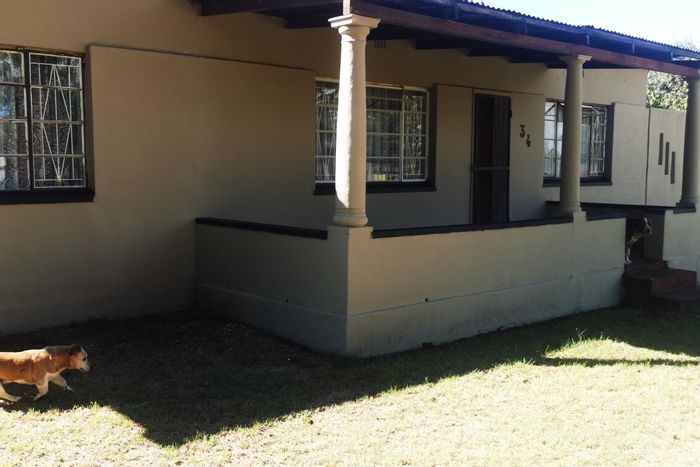 For Sale: House in Balfour Central with pool, garden, braai, and garage.