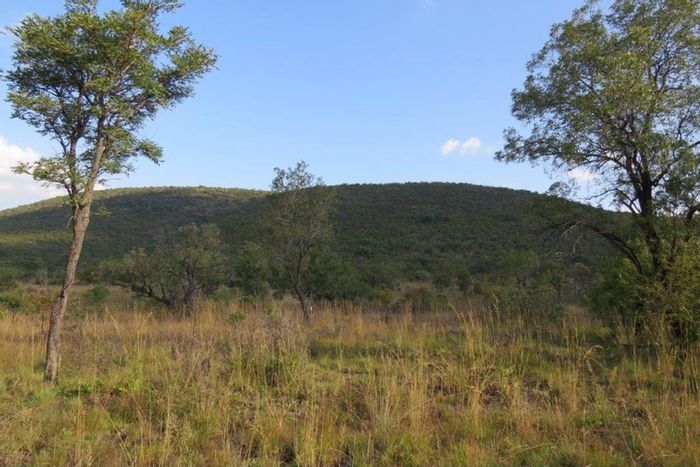 Zwartkloof Private Game Reserve: For Sale, Vacant Land with mountain views and wildlife access.