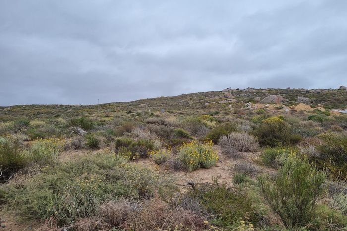 Vacant Land Residential For Sale in St Helena Views: Scenic views, low levies, no timeline.