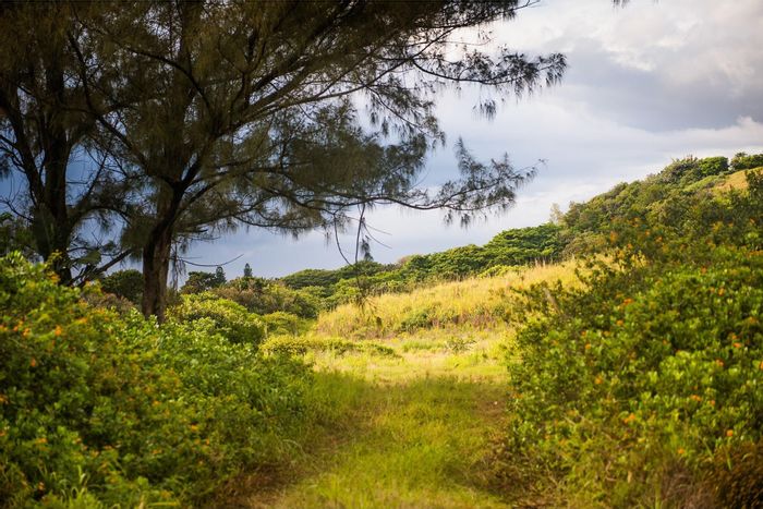 Vacant Land Residential for Sale in Sheffield Beach: Premium stands, beach access, nature trails.