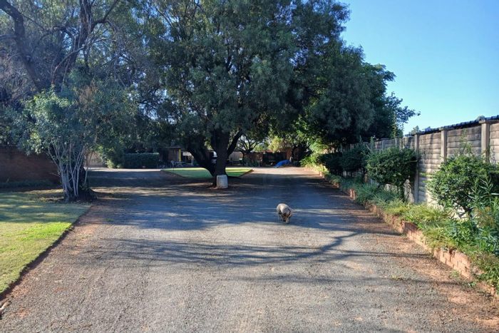 For Sale: Olive Hill Small Holding with dual access, fenced land, and storage.