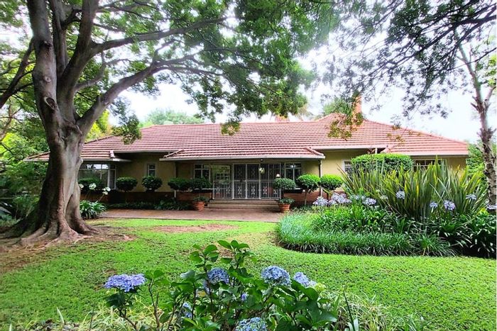 Dundee Central House For Sale: Six bedrooms, pool, flatlet, and spacious entertainment areas.