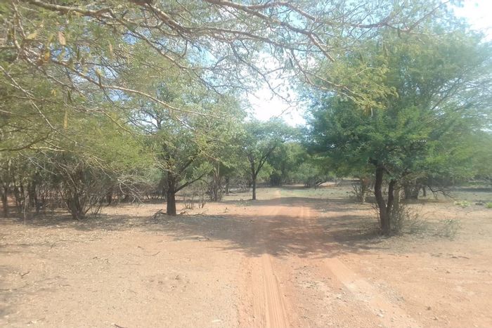 Kromdraai Farm For Sale: Three-bedroom home, inverter, borehole, game fenced, ample parking.