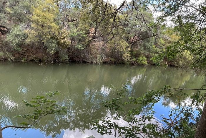 Groot Marico Central Farm For Sale: 214 hectares, river, Pecan orchard, guest house.