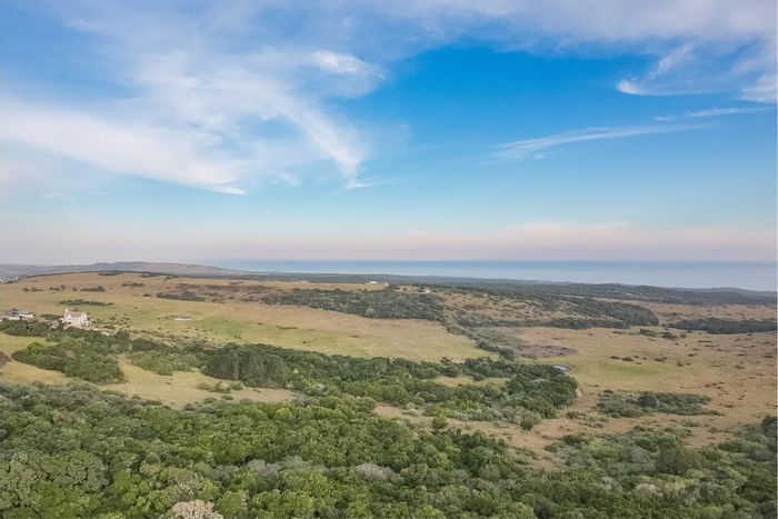 Colleen Glen Farm For Sale: Year-round spring water, grazing land, and game farming potential.