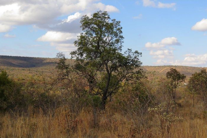 For Sale: Vacant Land at Zwartkloof Private Game Reserve with building plans included.