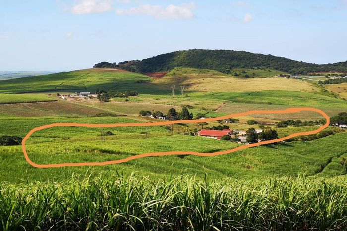 For Sale: Stanger Rural Farm with sugar cane, multiple houses, security features.