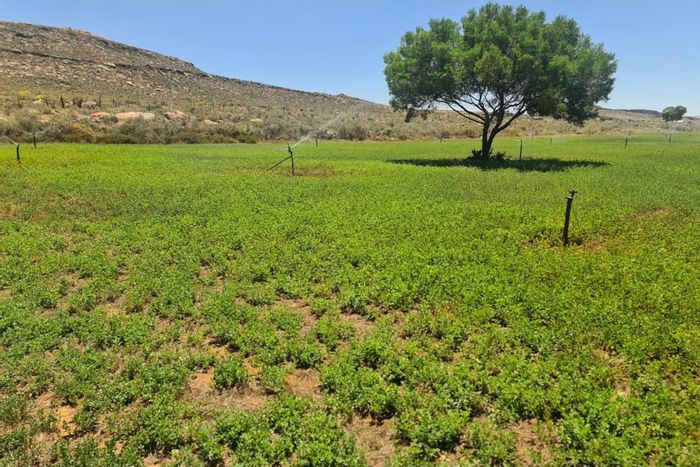 Self-sustainable farm for sale in Touws River Central with irrigation and solar power.