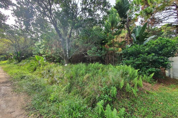 Vacant Land Residential in Trafalgar For Sale, 1431m2 near the sea.