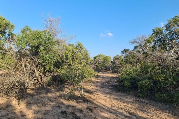 Vacant Land Residential For Sale in Moditlo Wildlife Estate with river access and wildlife.