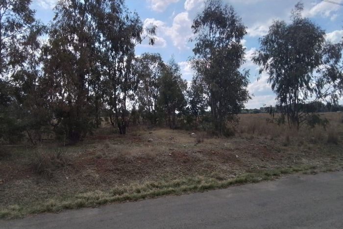 Farm for Sale in Valley Settlements AH: 4.8 hectares with utilities and security.