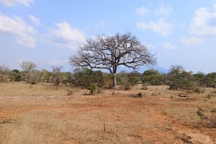 Vacant Land Residential For Sale in Moditlo Wildlife Estate with river access and utilities.