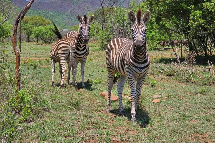 Vacant Land Residential For Sale in Barberton Central, ideal for nature lovers.