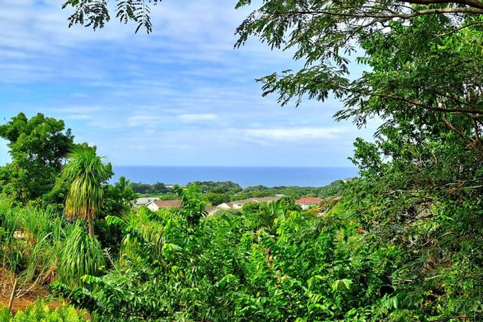 For Sale: Two Timber Frame Homes in Catalina Bay, close to beach and amenities.