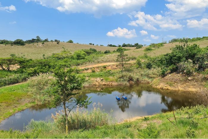 For Sale: 30-hectare macadamia farm in Nelspruit Rural with irrigation and accommodation.