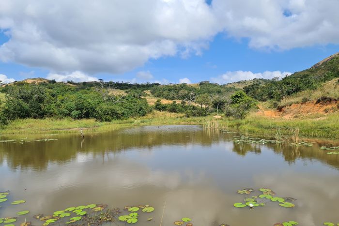 For Sale: 250HA Farm in Nelspruit Rural with lodge, game, and water rights.