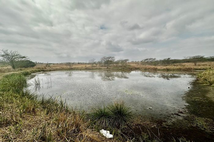 For Sale: Ottos Bluff Farm with 8 bedrooms, dams, and extensive grazing land.