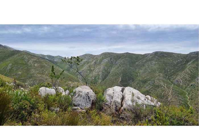 Uniondale Rural: For Sale - Vacant Land Residential with stream, fynbos, and mountain views.