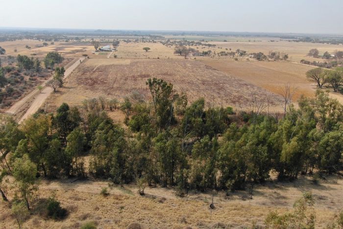 Vacant Land Residential in Bela Bela Rural - Borehole, secure fencing, and eucalyptus forest.