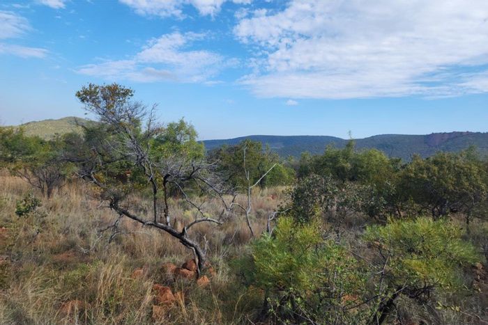 Zwartkloof Private Game Reserve: For Sale - Vacant Land with views, amenities, and wildlife access.