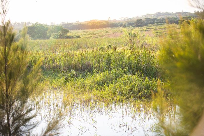 Vacant Land Residential for Sale in Sheffield Beach: Family-friendly amenities and nature trails.