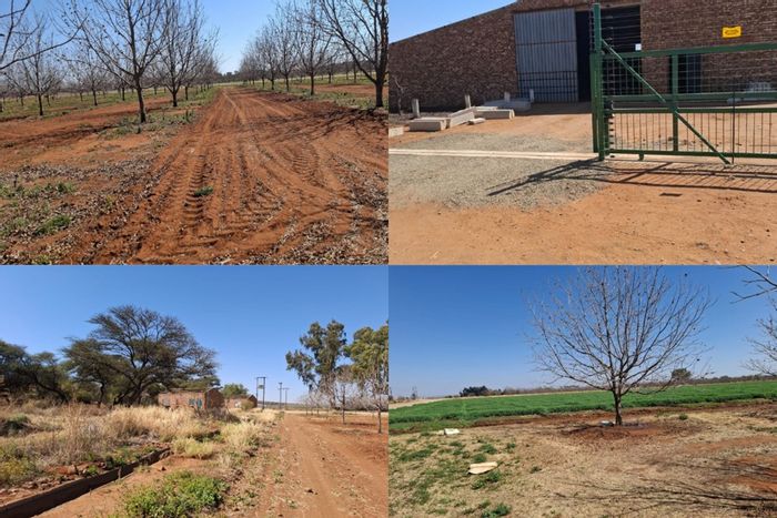 For Sale: Hartswater Central farm with fertile land, water supply, and growth potential.