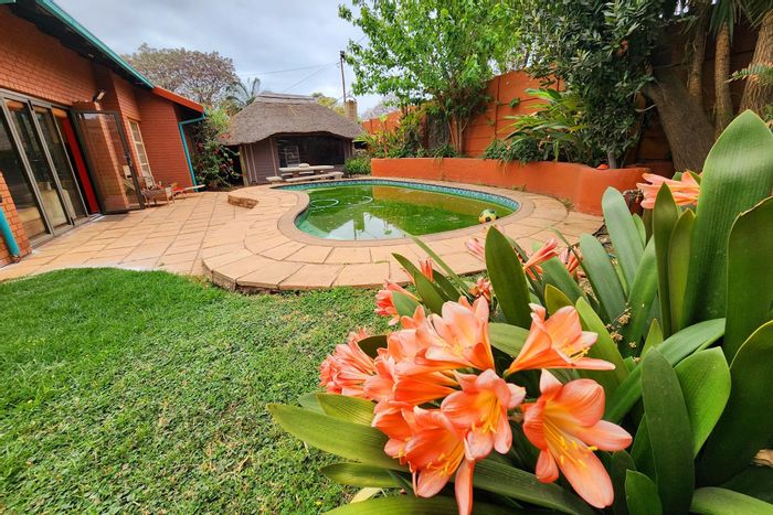 Valhalla House For Sale: 2 beds, heated pool, outdoor lapa, potential flat.